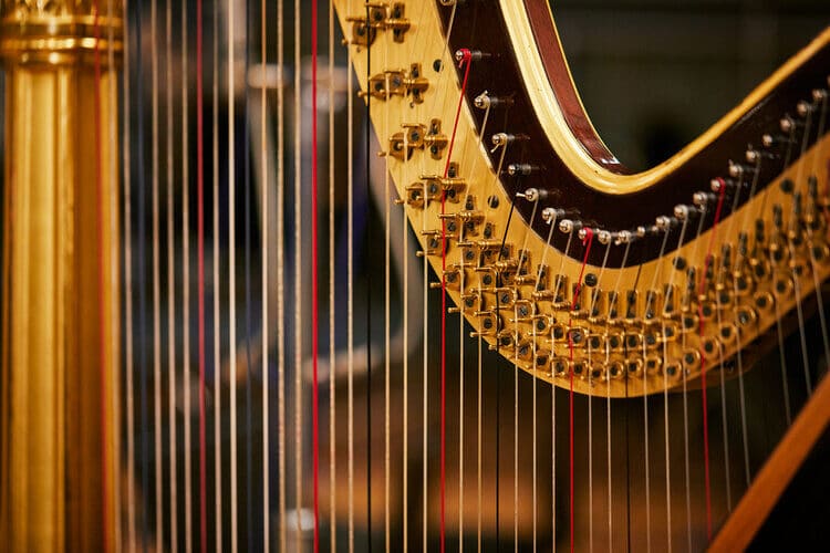 Harp lesson be natural music school